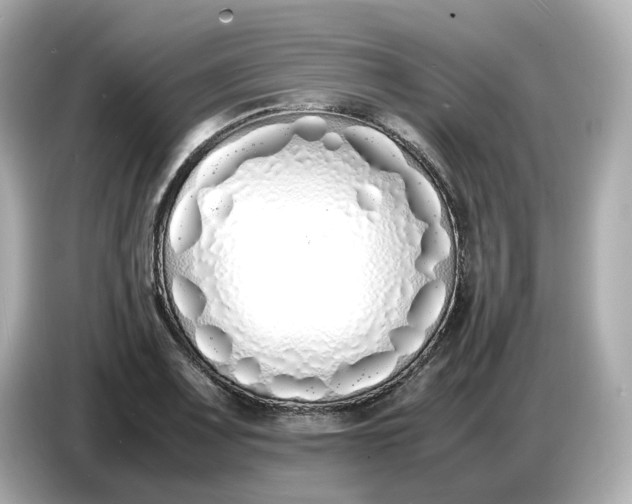 X0000086911083200704301032