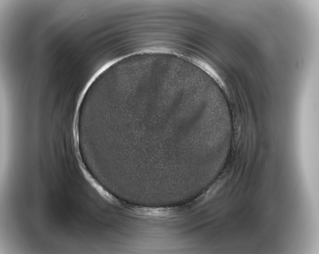 X0000086911084200704301032