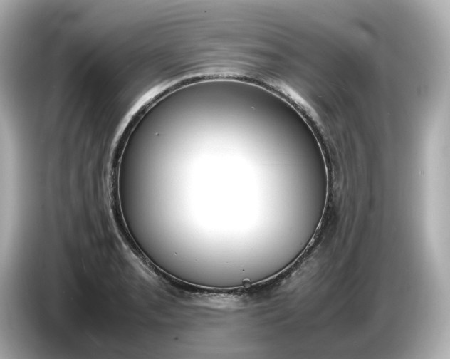 X0000086911085200704301032