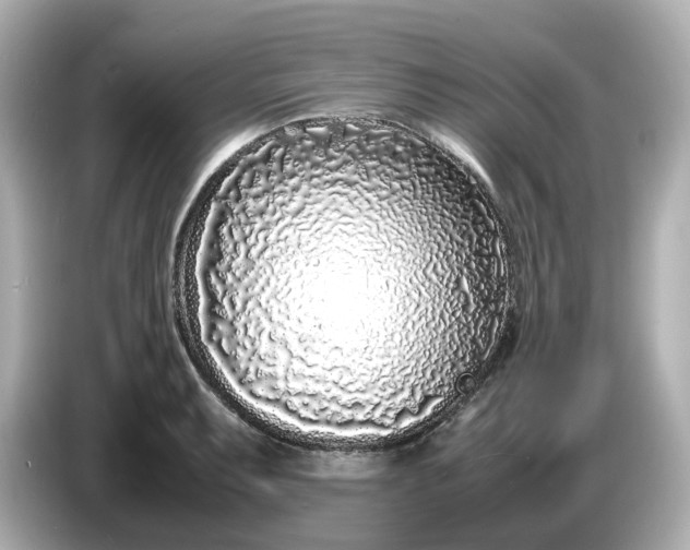 X0000086911087200704301032