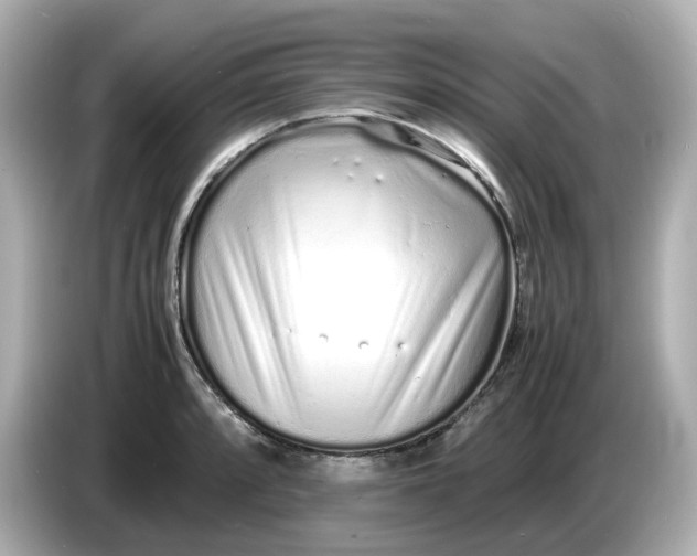 X0000086911088200704301032