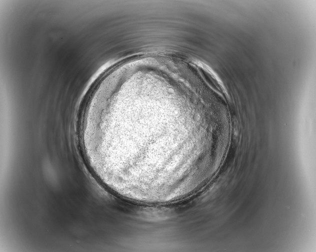 X0000086911091200704301032