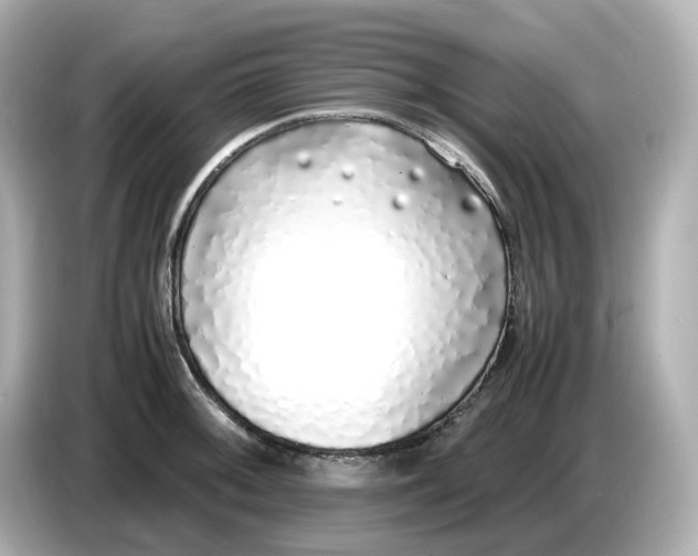 X0000086911092200704301032