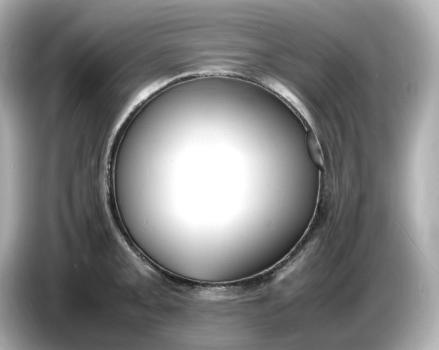 X0000086911093200704301032