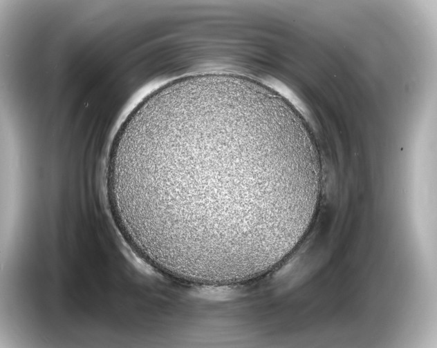 X0000086911094200704301032