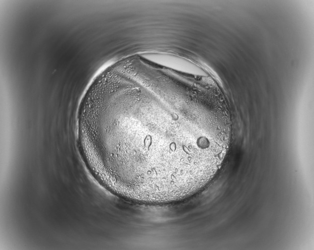 X0000086911095200704301032