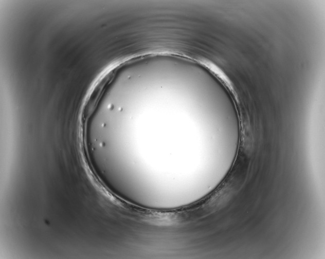 X0000086911096200704301032