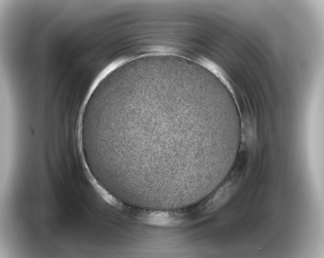 X0000086911098200704301032