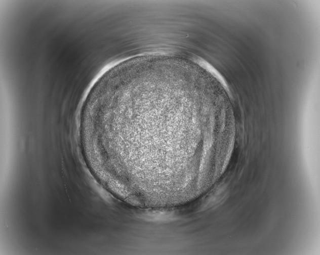 X0000086911099200704301032