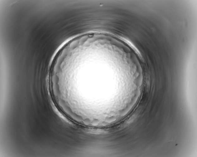 X0000086911100200704301032