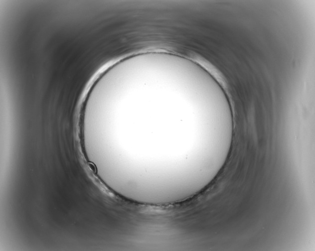 X0000086911104200704301032