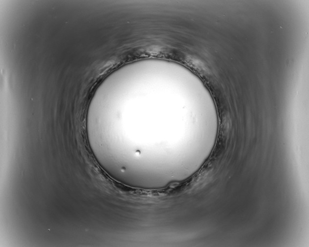 X0000086911105200704301031