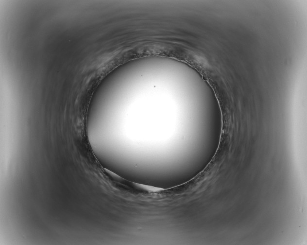 X0000086911109200704301031