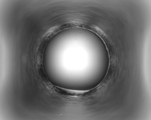 X0000086911110200704301031