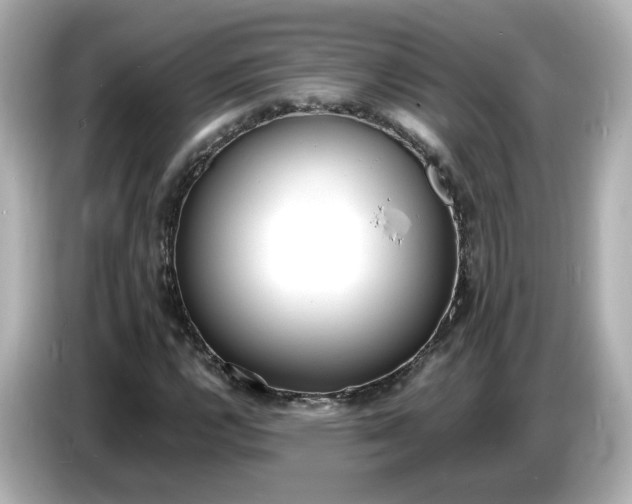 X0000086911112200704301031