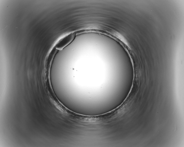 X0000086911116200704301031