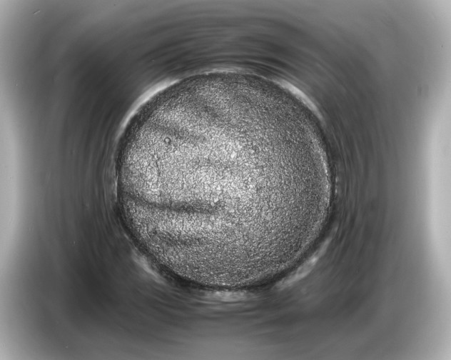 X0000086911117200704301031