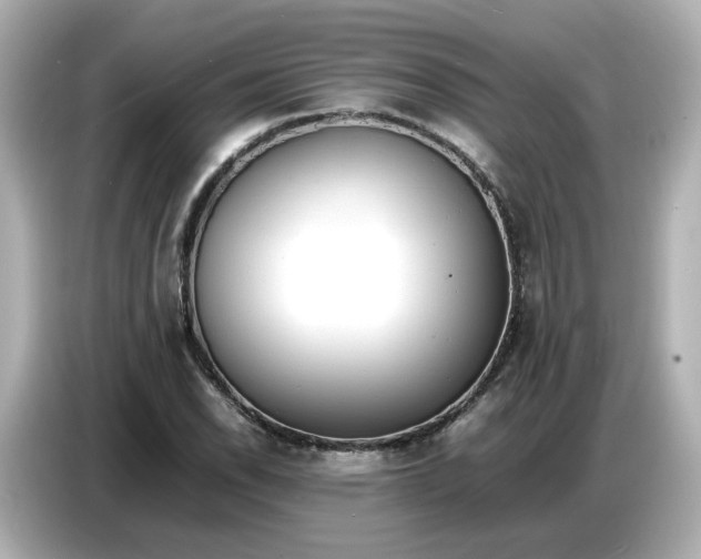 X0000086911118200704301031