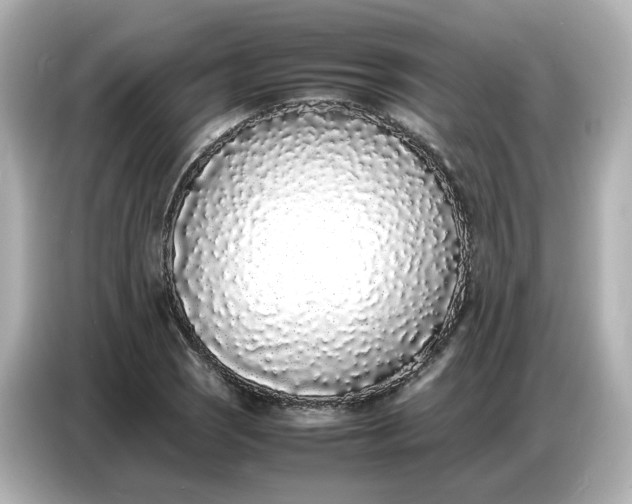 X0000086911121200704301031