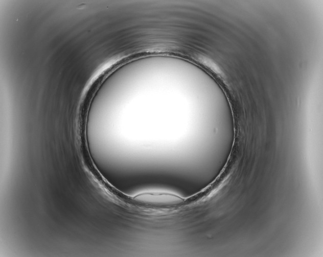 X0000086911122200704301031