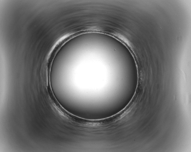 X0000086911123200704301031