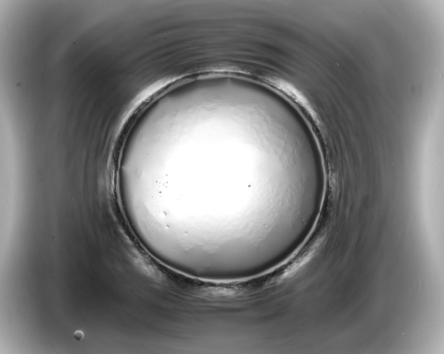 X0000086911125200704301031