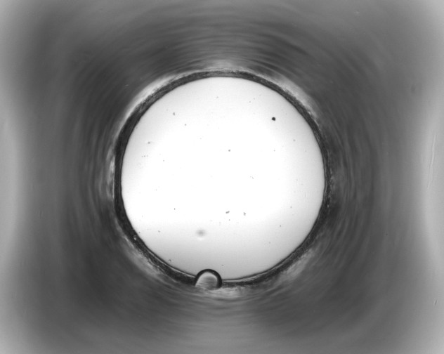 X0000086911126200704301031