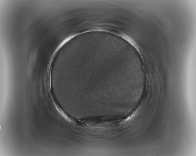 X0000086911127200704301031