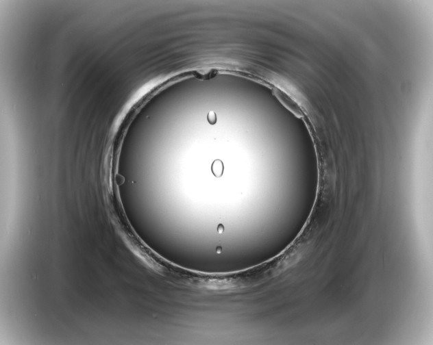 X0000086911128200704301032