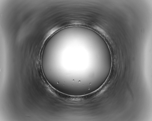 X0000086911129200704301032