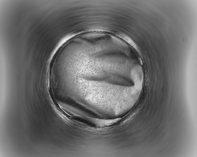 X0000086911132200704301032