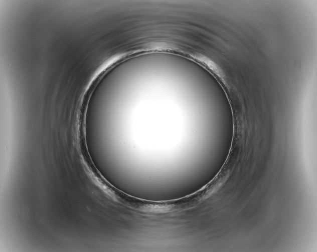 X0000086911134200704301032