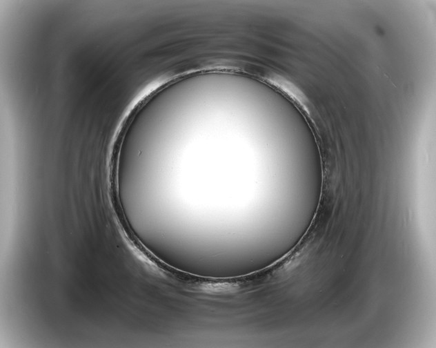 X0000086911135200704301032