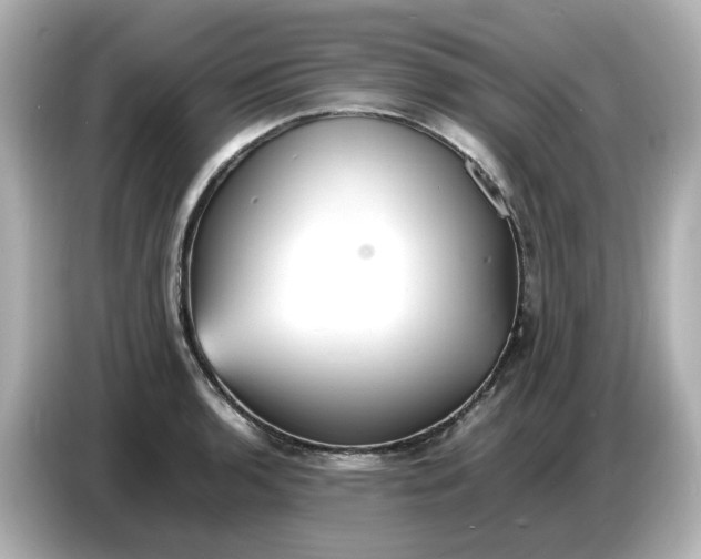 X0000086911136200704301032