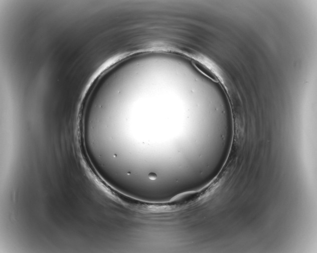 X0000086911142200704301032