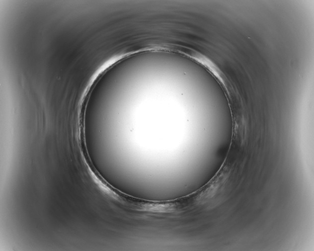 X0000086911143200704301032