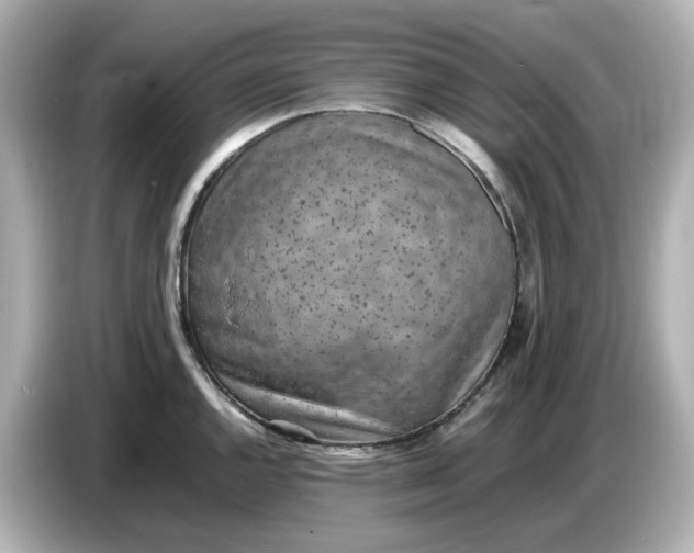 X0000086911144200704301032