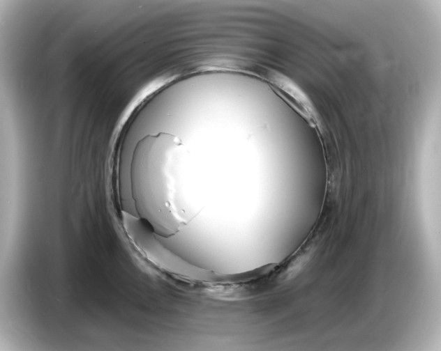 X0000086911146200704301032