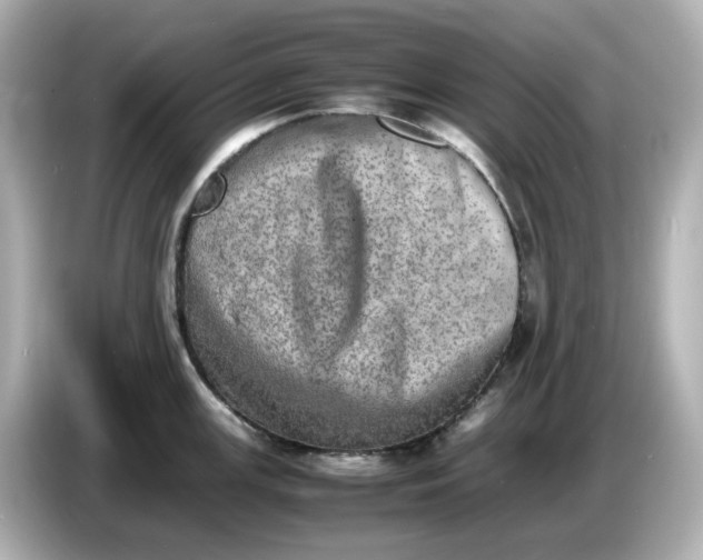 X0000086911147200704301032