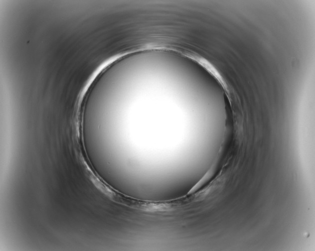 X0000086911148200704301032