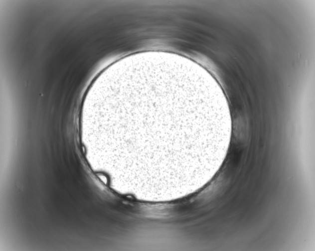 X0000086911150200704301032