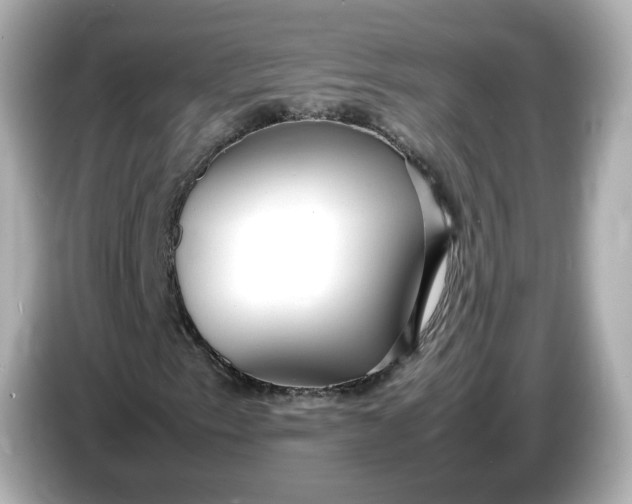 X0000086911153200704301031