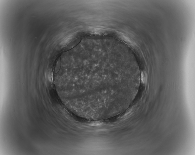 X0000086911155200704301031