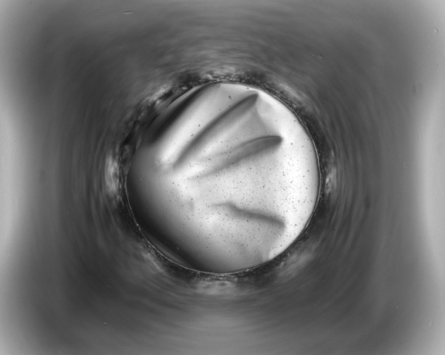 X0000086911156200704301031