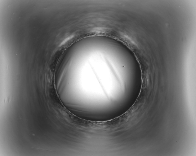 X0000086911158200704301031