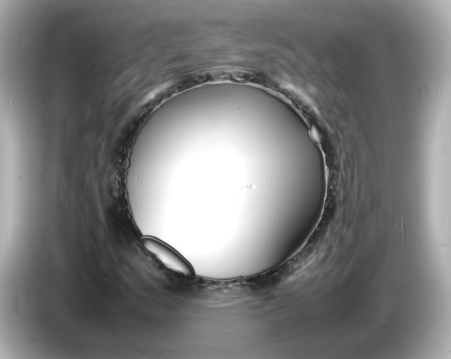 X0000086911159200704301031