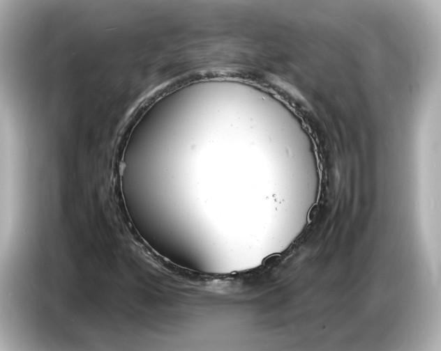 X0000086911160200704301031