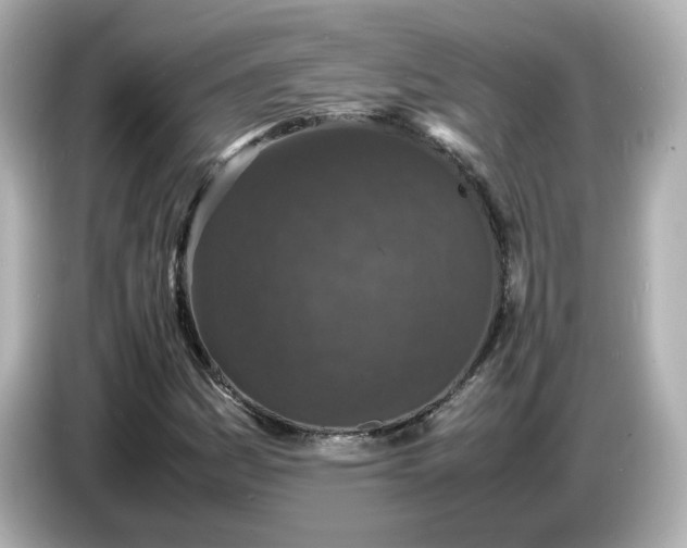 X0000086911161200704301031