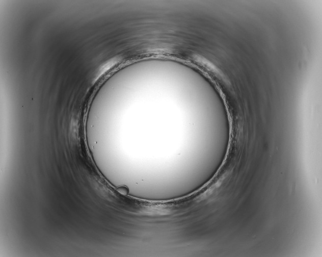 X0000086911162200704301031