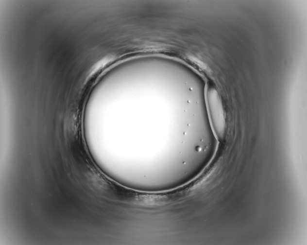 X0000086911163200704301031